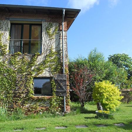 Haus Am See In Kleinzerlang Eksteriør billede