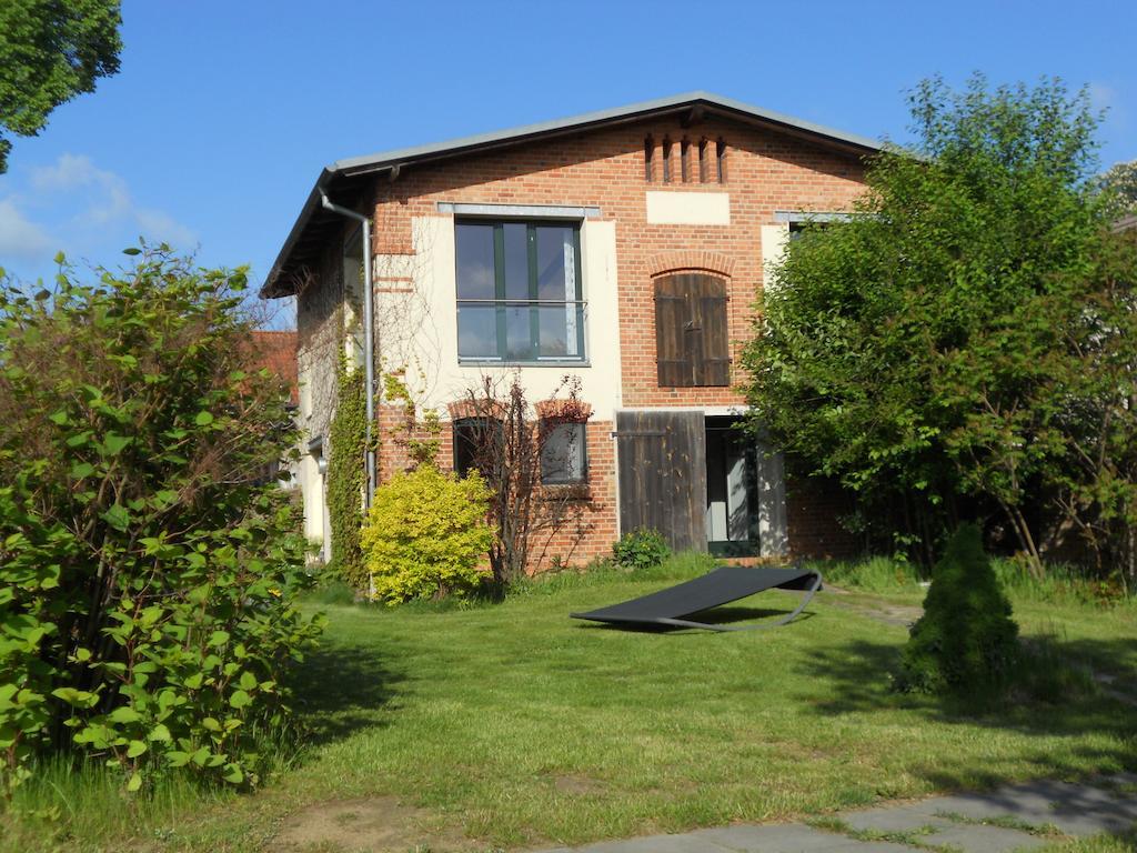 Haus Am See In Kleinzerlang Eksteriør billede