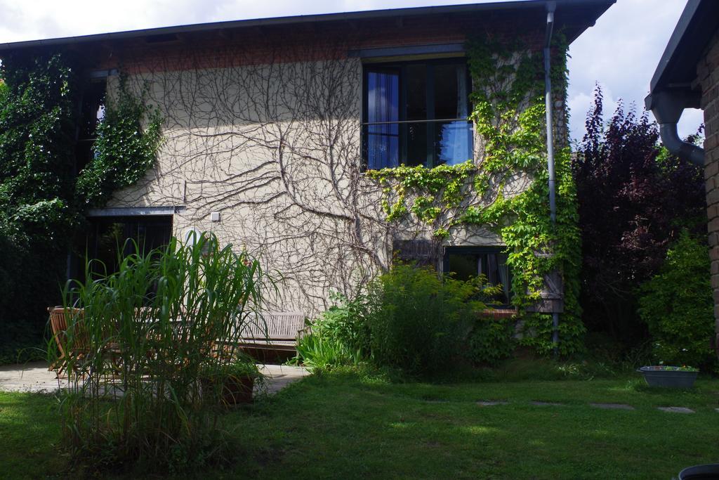 Haus Am See In Kleinzerlang Eksteriør billede